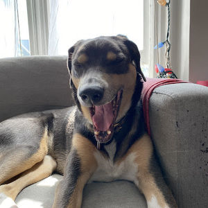 Meet your Posher, Jack